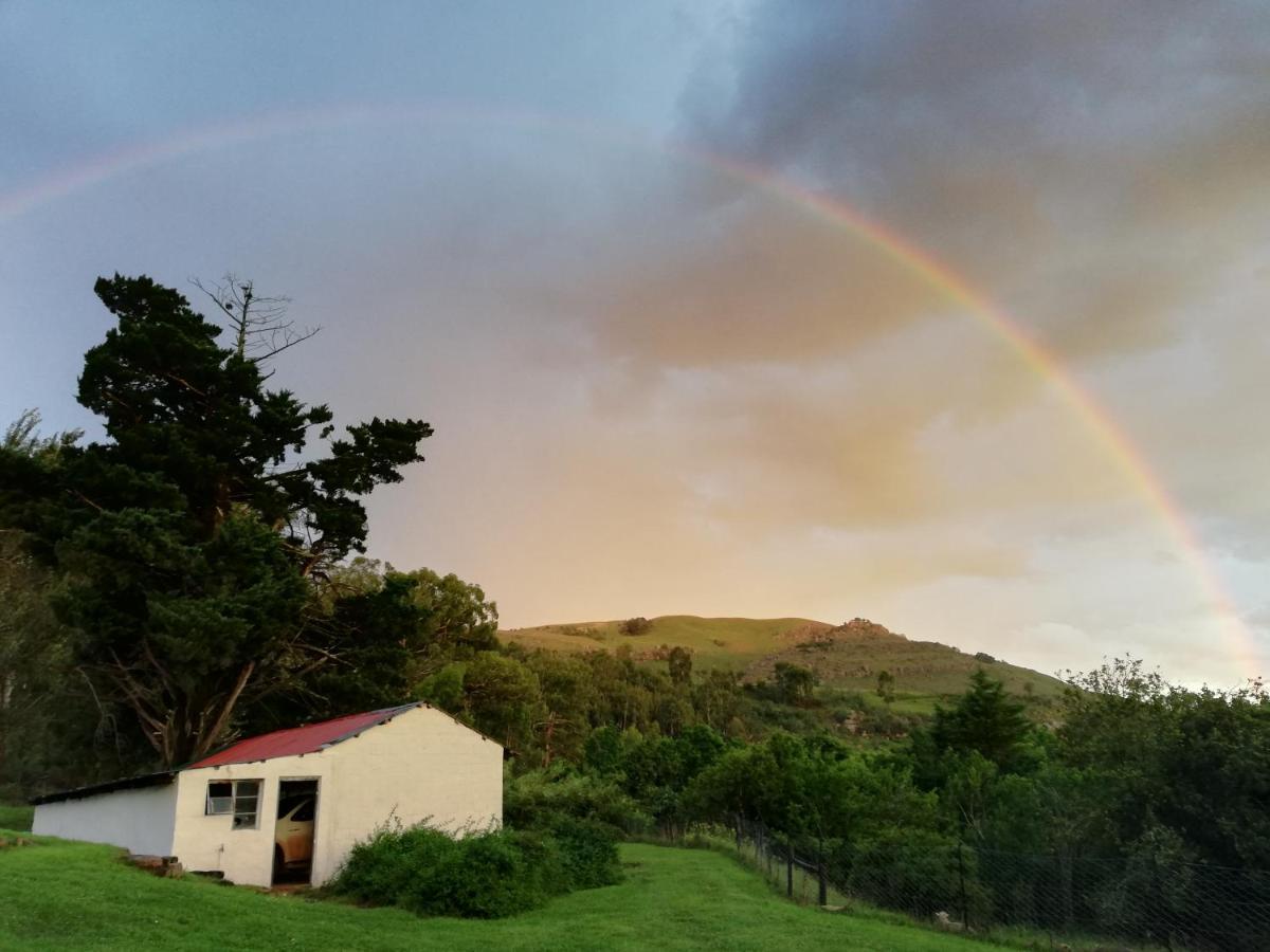 Sheeprun Farmstay Maclear Kültér fotó