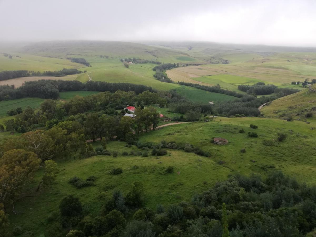 Sheeprun Farmstay Maclear Kültér fotó