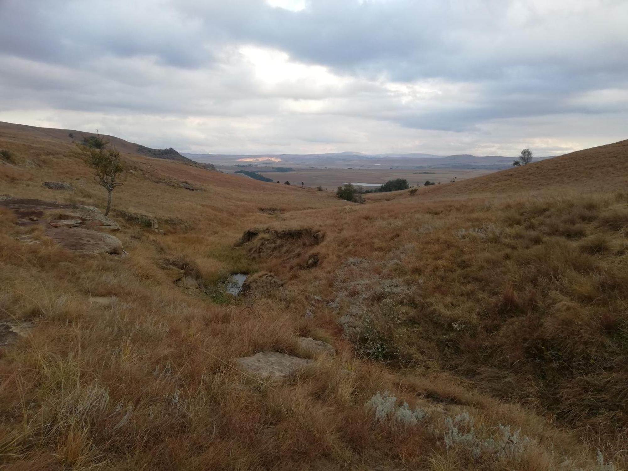 Sheeprun Farmstay Maclear Kültér fotó